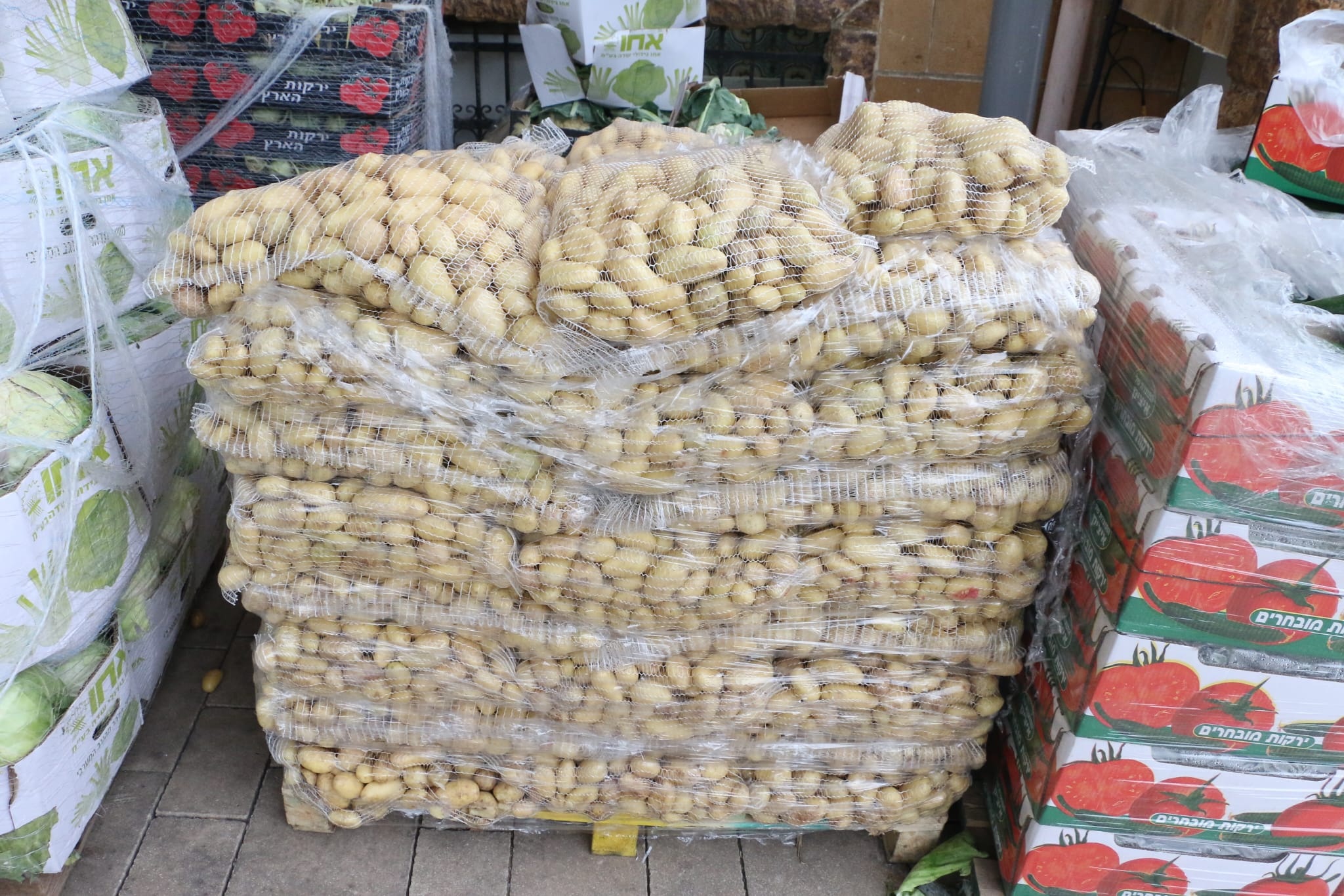 WhatsApp Image 2023-04-11 at 8.33.01 AM.jpeg